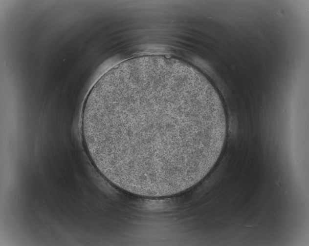 X0000103971378200810311516
