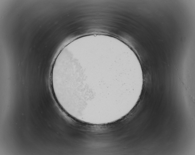 X0000103971379200810311516