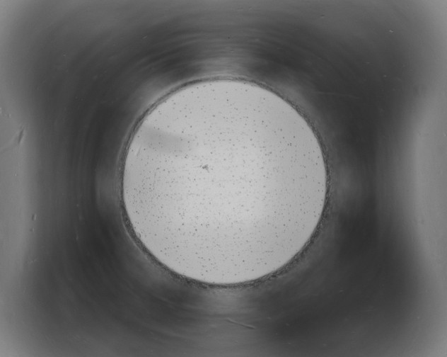 X0000103971380200810311516