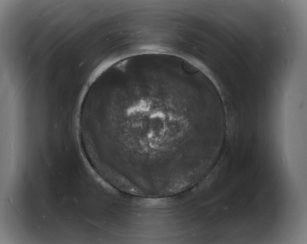 X0000103971381200810311516