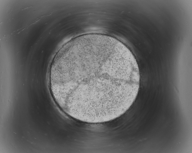 X0000103971383200810311516