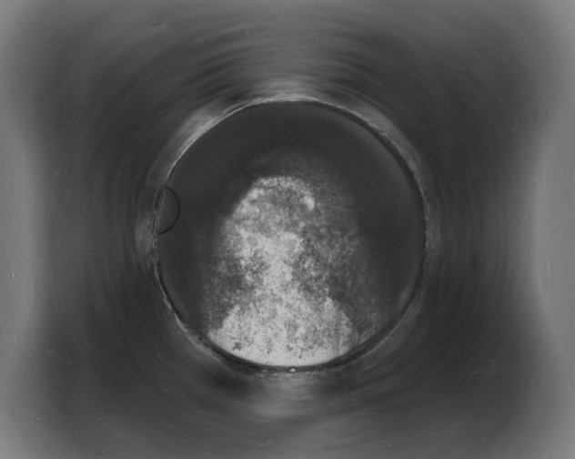 X0000103971385200810311516