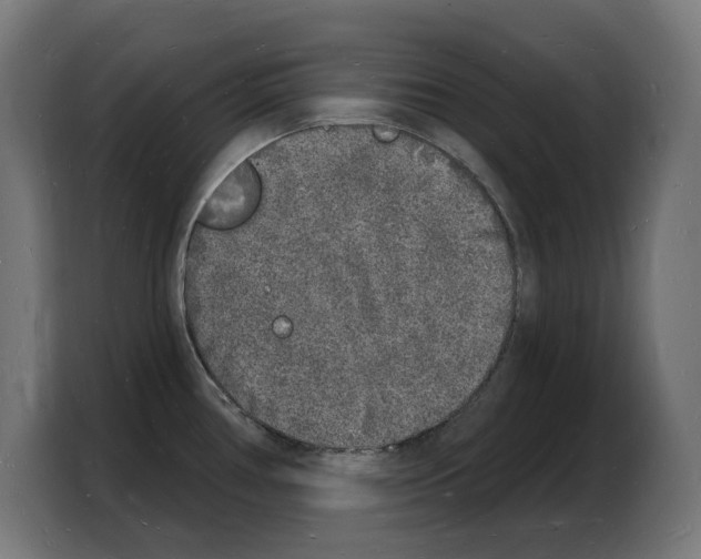 X0000103971386200810311516