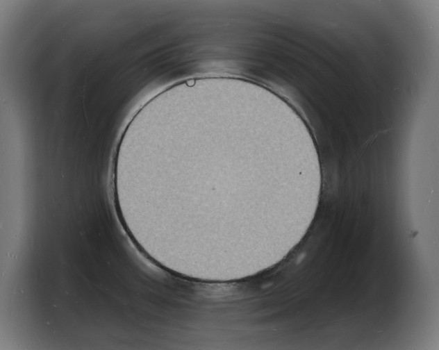 X0000103971387200810311516