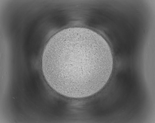 X0000103971388200810311516