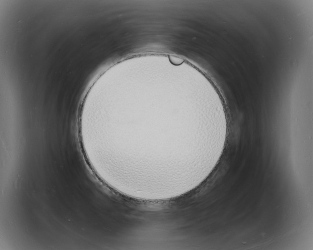 X0000103971390200810311516