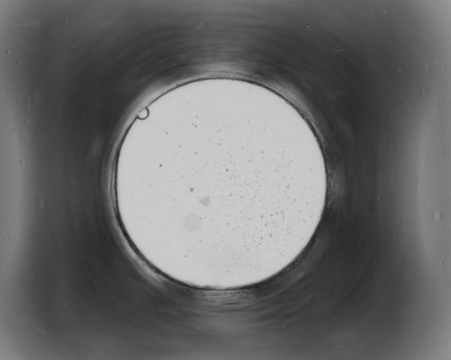 X0000103971391200810311516