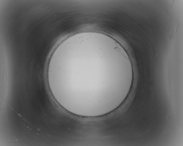 X0000103971392200810311516