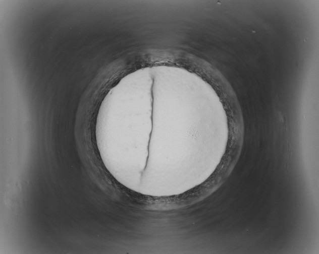 X0000103971393200810311515