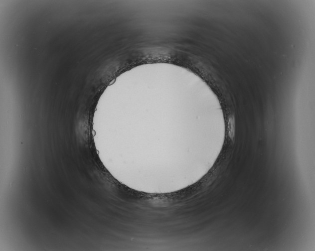 X0000103971395200810311515