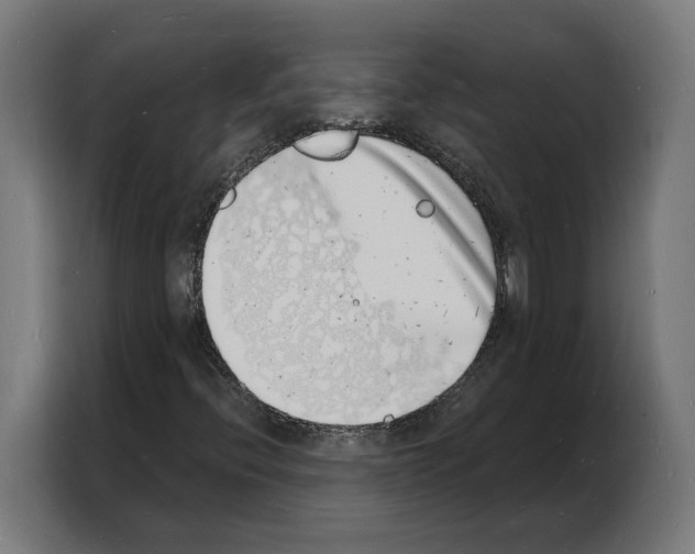 X0000103971396200810311515