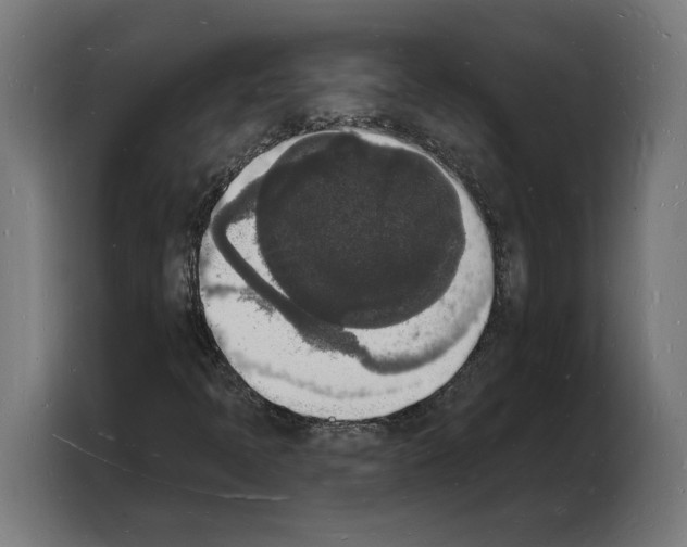 X0000103971397200810311515