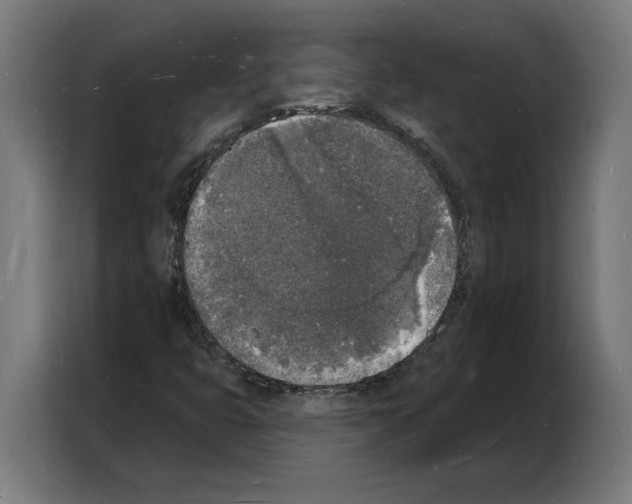 X0000103971399200810311515