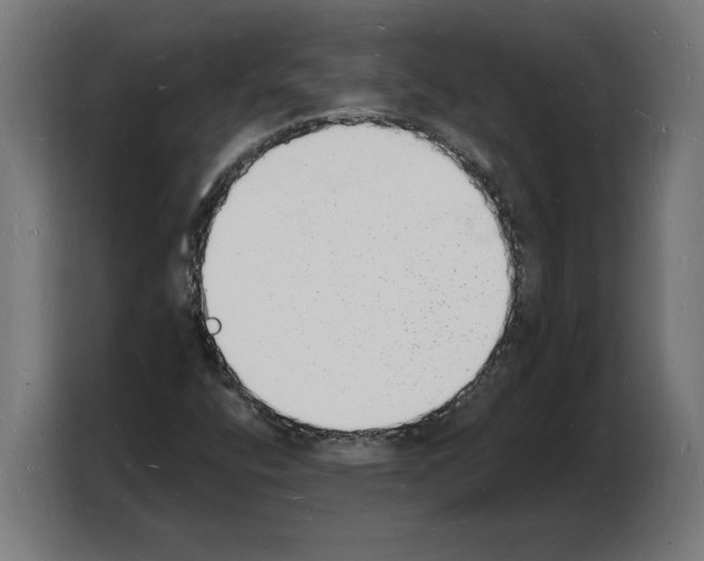 X0000103971400200810311515