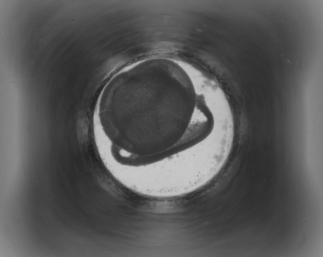 X0000103971401200810311515