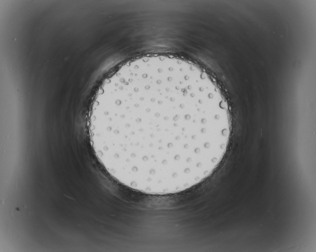 X0000103971402200810311515