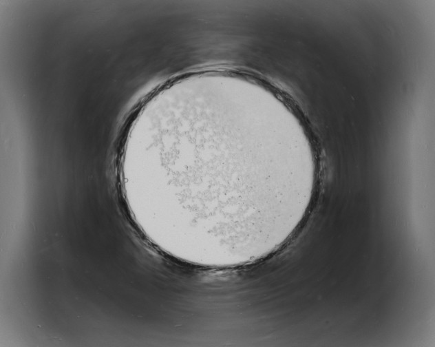 X0000103971406200810311515