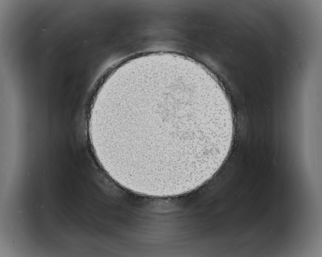 X0000103971408200810311515