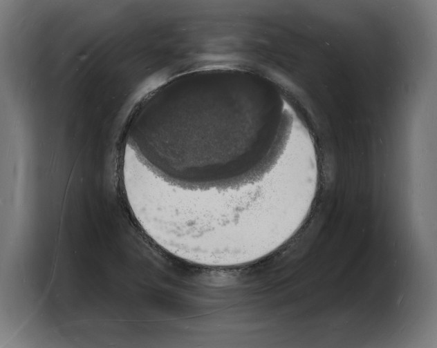 X0000103971411200810311515