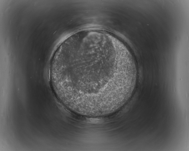 X0000103971413200810311515