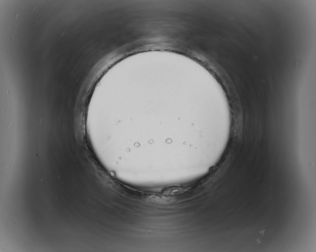 X0000103971415200810311515