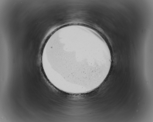 X0000103971416200810311515