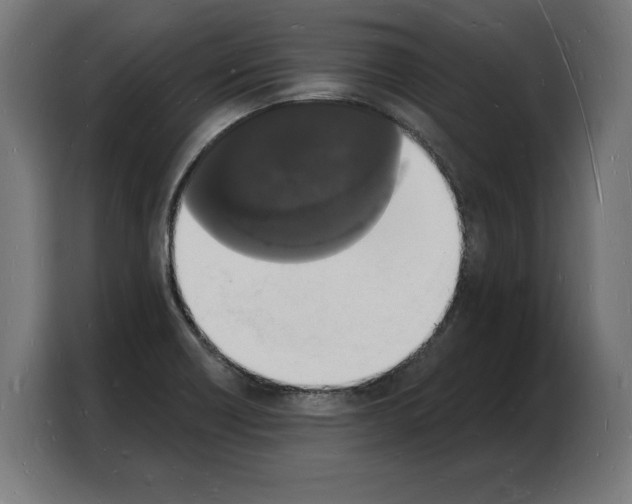 X0000103971418200810311515