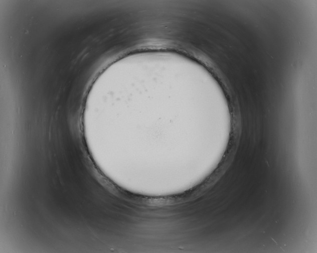 X0000103971421200810311515