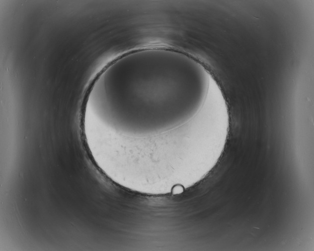 X0000103971422200810311515