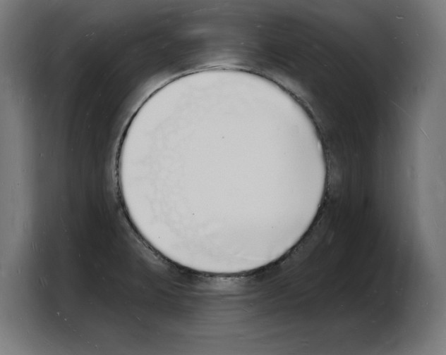 X0000103971423200810311515