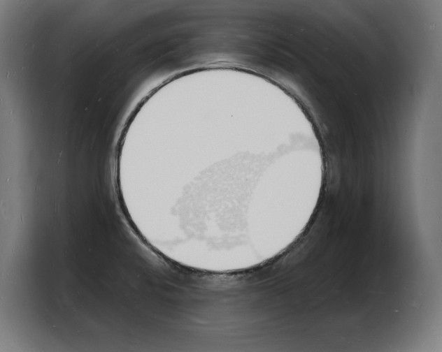 X0000103971424200810311515