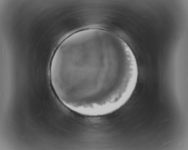 X0000103971428200810311515