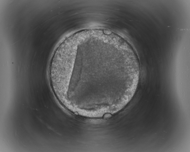 X0000103971429200810311515