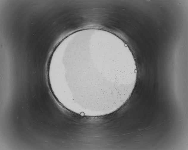 X0000103971430200810311515