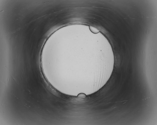X0000103971431200810311515