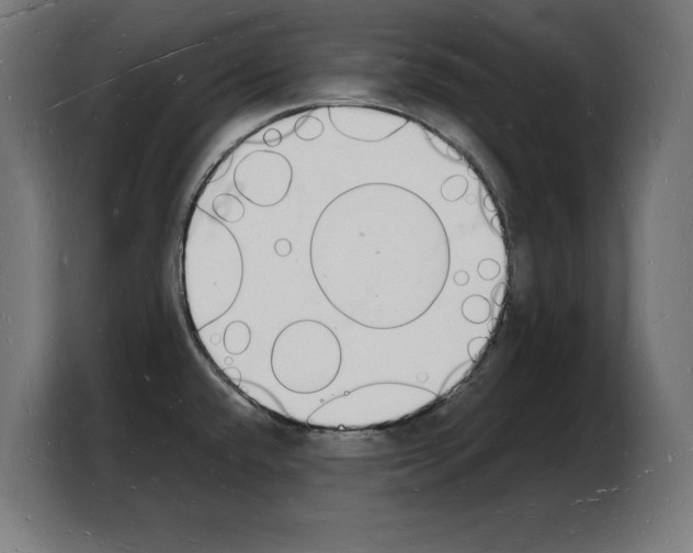 X0000103971432200810311515