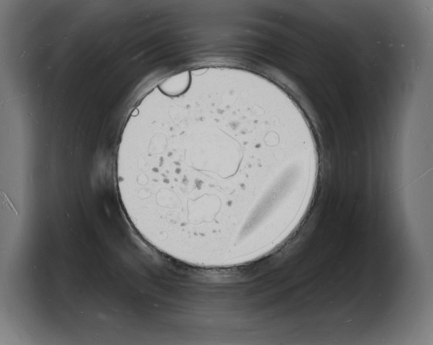 X0000103971433200810311515