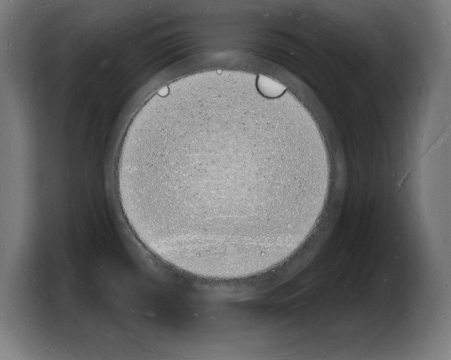X0000103971434200810311515