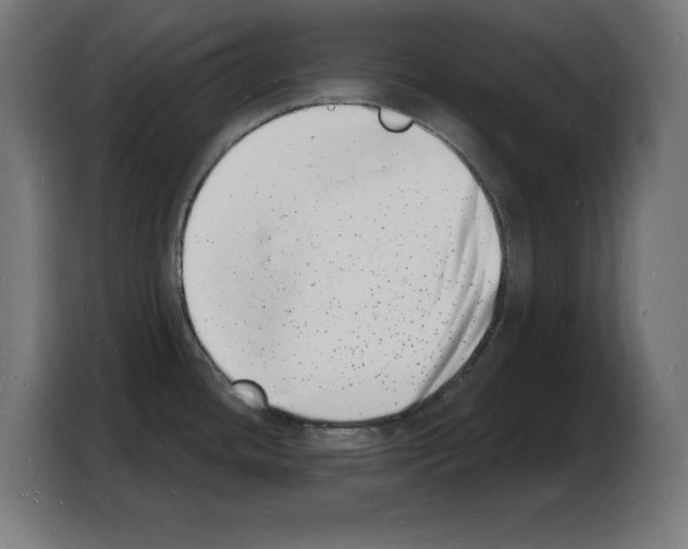 X0000103971436200810311516