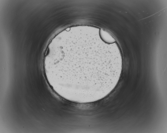 X0000103971437200810311516