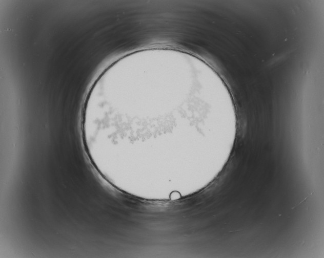 X0000103971438200810311516