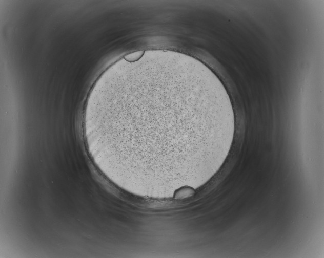 X0000103971439200810311516