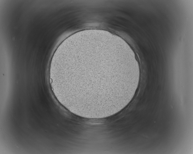 X0000103971440200810311516