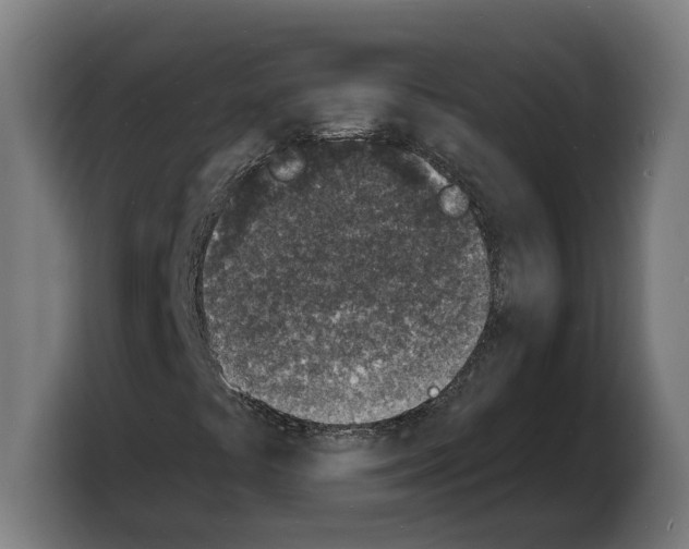 X0000103971441200810311515
