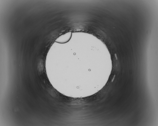 X0000103971442200810311515