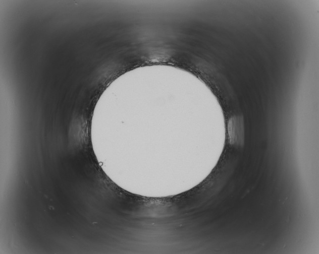 X0000103971443200810311515