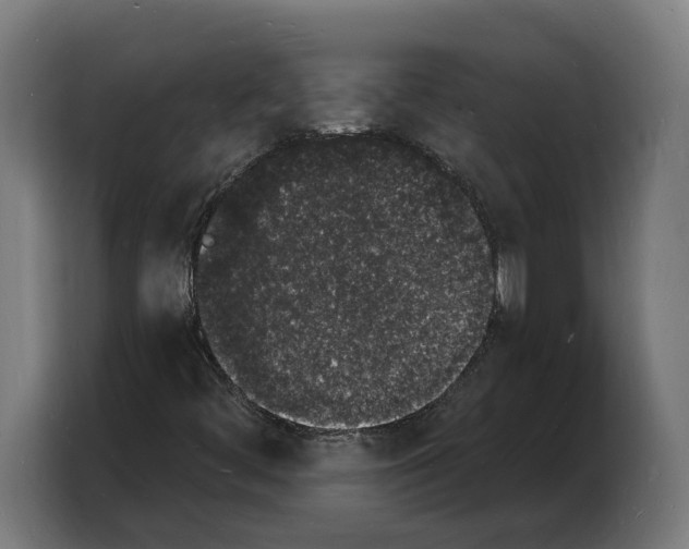 X0000103971444200810311515