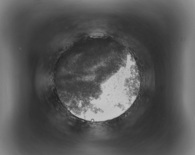 X0000103971445200810311515