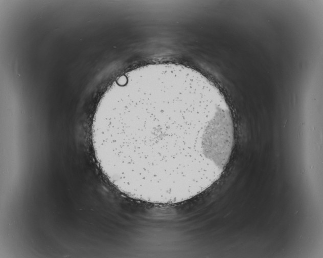 X0000103971447200810311515