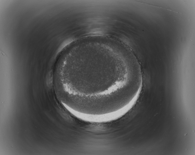 X0000103971450200810311515